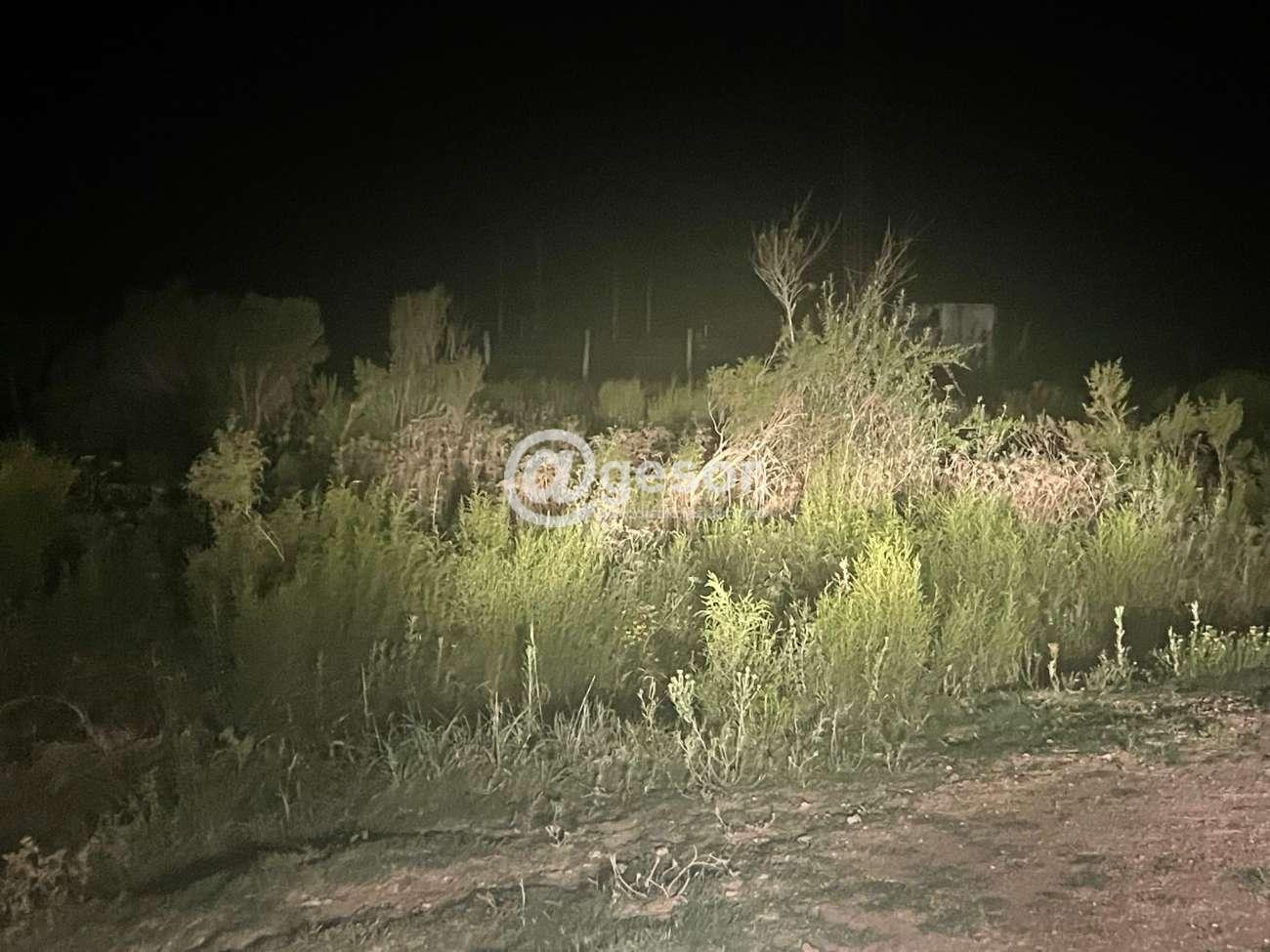 Image4